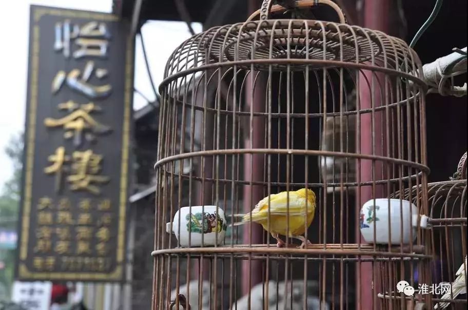 皖西大裂谷旅游攻略-皖西大裂谷现场门票多少钱(图39) 皖西大裂谷现场门票多少钱_皖西大裂谷旅游攻略_皖西大裂谷游玩时长