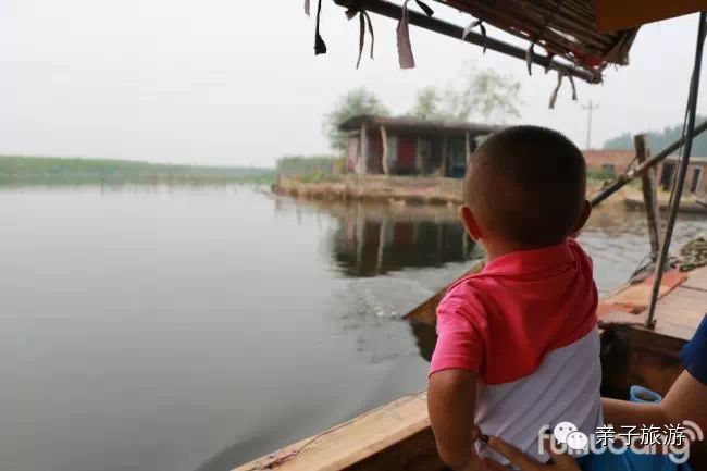 白洋淀荷花大观园旅游攻略-白洋淀荷花大观园民俗寨宾馆(图11) 白洋淀菏花大观园_白洋淀荷花大观园民俗寨宾馆_白洋淀荷花大观园旅游攻略