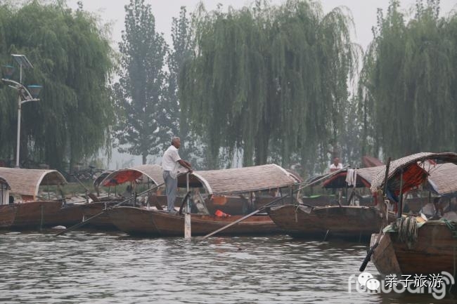 白洋淀荷花大观园旅游攻略-白洋淀荷花大观园民俗寨宾馆(图12) 白洋淀荷花大观园民俗寨宾馆_白洋淀荷花大观园旅游攻略_白洋淀菏花大观园