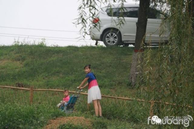 白洋淀荷花大观园旅游攻略-白洋淀荷花大观园民俗寨宾馆(图14) 白洋淀荷花大观园旅游攻略_白洋淀荷花大观园民俗寨宾馆_白洋淀菏花大观园