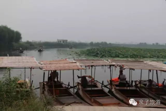 白洋淀荷花大观园旅游攻略-白洋淀荷花大观园民俗寨宾馆(图15) 白洋淀荷花大观园民俗寨宾馆_白洋淀菏花大观园_白洋淀荷花大观园旅游攻略