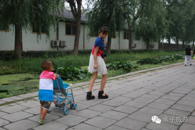 白洋淀荷花大观园旅游攻略-白洋淀荷花大观园民俗寨宾馆(图31) 白洋淀荷花大观园旅游攻略_白洋淀菏花大观园_白洋淀荷花大观园民俗寨宾馆