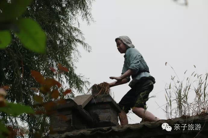 白洋淀荷花大观园旅游攻略-白洋淀荷花大观园民俗寨宾馆(图34) 白洋淀荷花大观园旅游攻略_白洋淀荷花大观园民俗寨宾馆_白洋淀菏花大观园