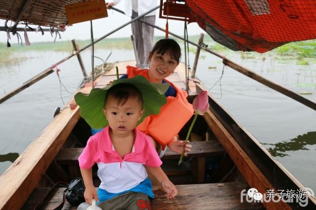 白洋淀荷花大观园旅游攻略-白洋淀荷花大观园民俗寨宾馆(图9) 白洋淀菏花大观园_白洋淀荷花大观园旅游攻略_白洋淀荷花大观园民俗寨宾馆