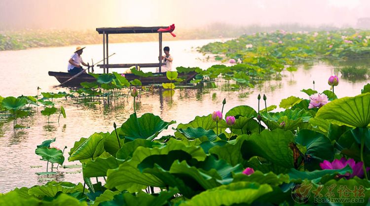 微山岛景区旅游攻略-微山岛景区门票(图41) 微山岛景区门票_微山岛景区旅游攻略_微山岛镇景区