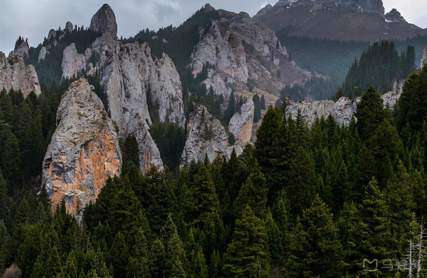 九寨沟2日旅游攻略-九寨沟攻略旅游景点(图13) 九寨沟攻略旅游攻略_九寨沟攻略旅游景点_九寨沟2日旅游攻略