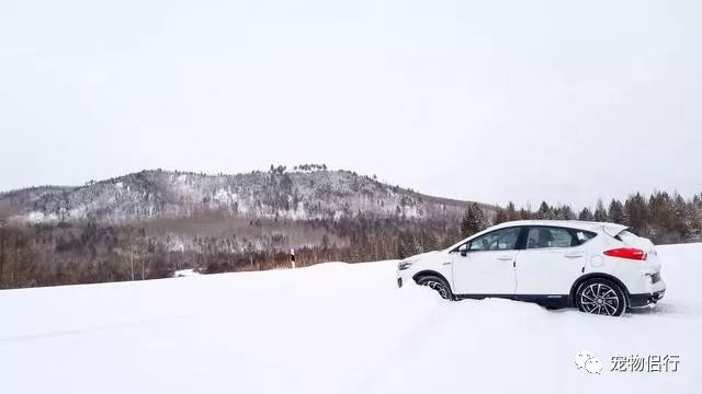 哈尔滨漠河旅游攻略_哈尔滨——漠河_哈尔滨报团去漠河三日游