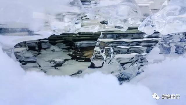 哈尔滨报团去漠河三日游_哈尔滨——漠河_哈尔滨漠河旅游攻略