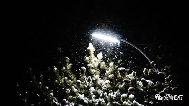 哈尔滨报团去漠河三日游_哈尔滨漠河旅游攻略_哈尔滨——漠河