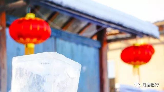 哈尔滨漠河旅游攻略_哈尔滨报团去漠河三日游_哈尔滨——漠河