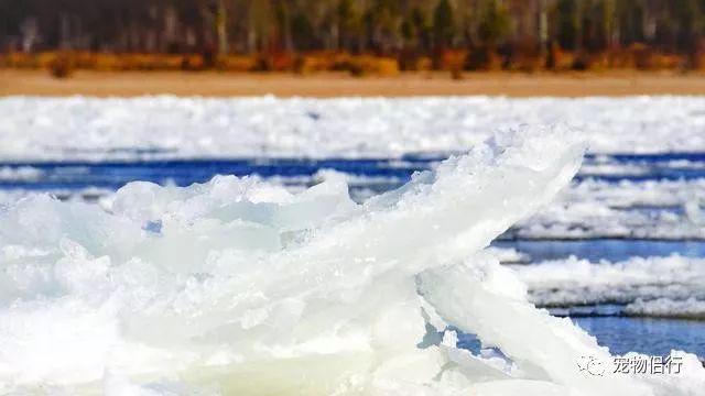 哈尔滨漠河旅游攻略_哈尔滨报团去漠河三日游_哈尔滨——漠河