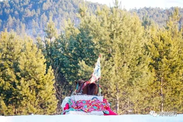 哈尔滨——漠河_哈尔滨漠河旅游攻略_哈尔滨报团去漠河三日游