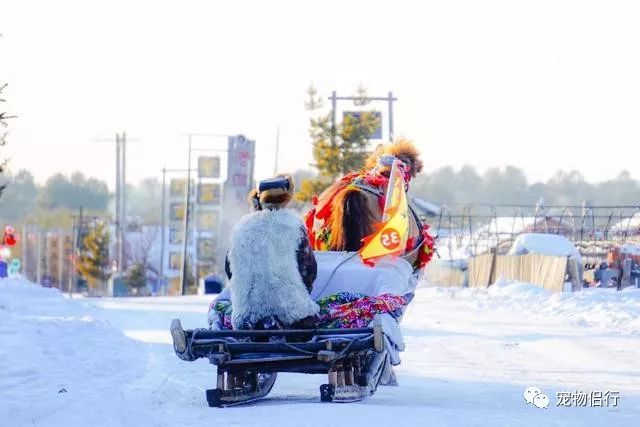 哈尔滨报团去漠河三日游_哈尔滨——漠河_哈尔滨漠河旅游攻略