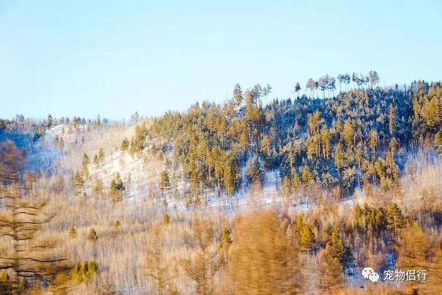 哈尔滨漠河旅游攻略_哈尔滨报团去漠河三日游_哈尔滨——漠河