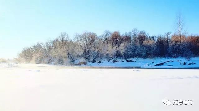 哈尔滨漠河旅游攻略_哈尔滨——漠河_哈尔滨报团去漠河三日游