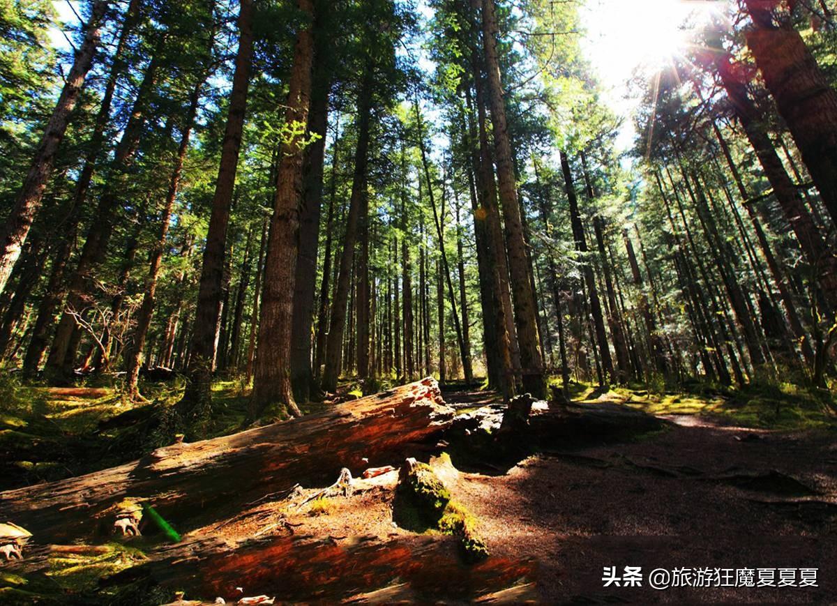 九寨沟2日旅游攻略_九寨沟攻略旅游景点_九寨沟攻略旅游自由行