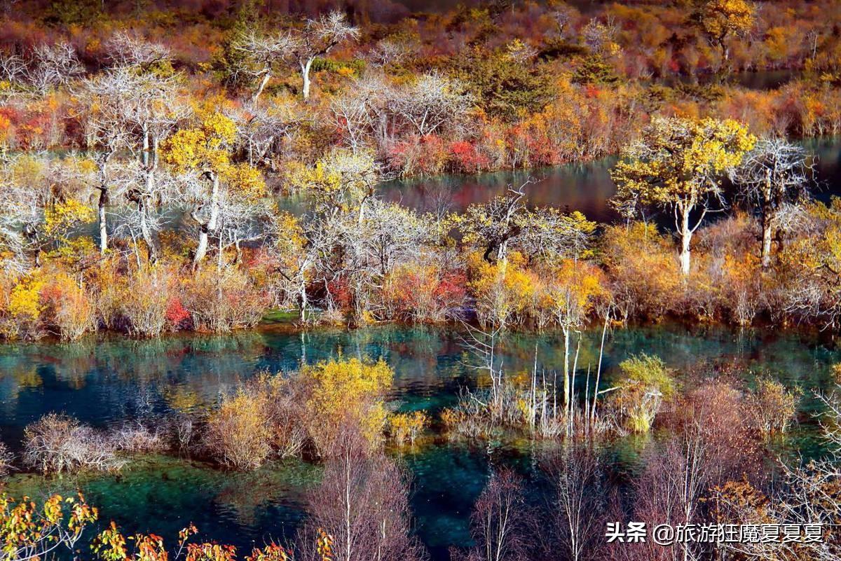 九寨沟2日旅游攻略_九寨沟攻略旅游景点_九寨沟攻略旅游自由行