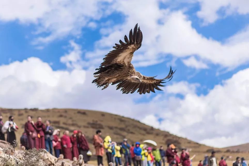 色达佛学院观景台在哪里_色达佛学院小路进去_色达佛学院旅游攻略