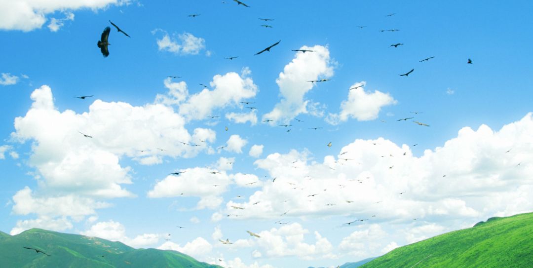 色达佛学院旅游攻略_色达佛学院观景台在哪里_色达佛学院小路进去