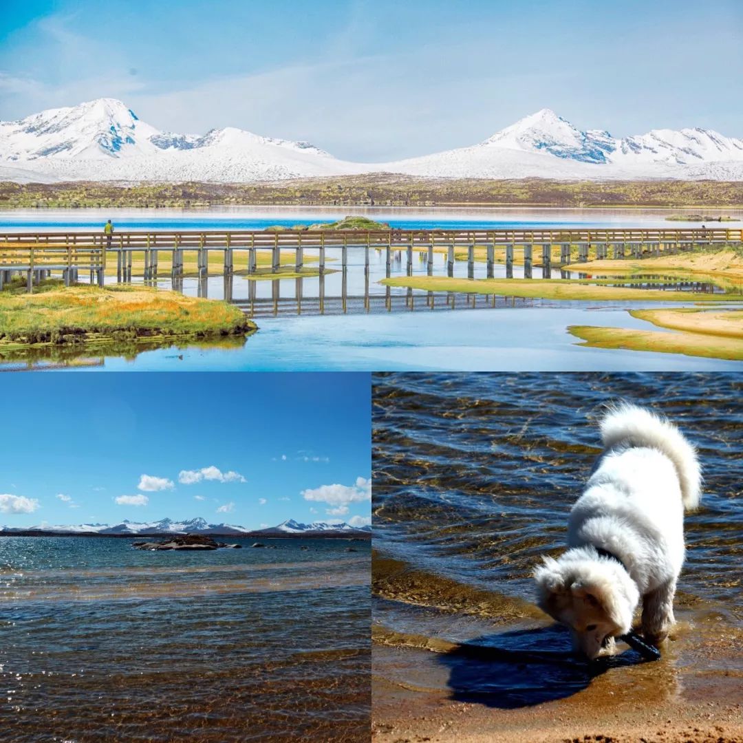 色达佛学院旅游攻略_色达佛学院小路进去_色达佛学院观景台在哪里