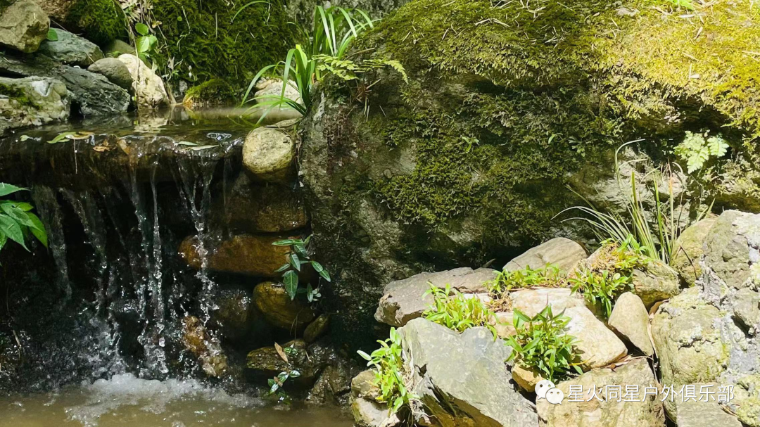 大别山2日旅游攻略_山东大学旅游景点_山大有什么好玩的地方