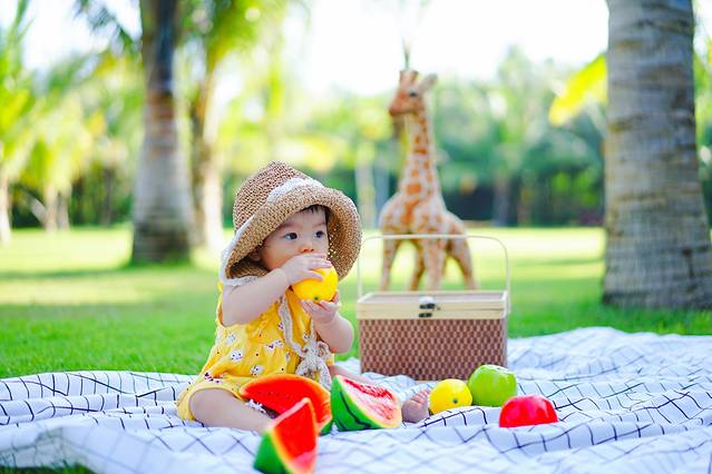 旅游自驾攻略乐东路线_乐东自由行攻略_乐东旅游自驾旅游攻略