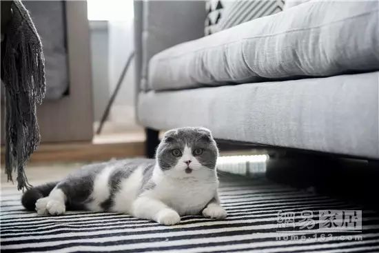 客厅时尚个性挂钟图片-2021年客厅挂钟最新款图片(图18) 客厅时尚个性挂钟图片_2021年客厅挂钟最新款图片_客厅时尚挂画图片