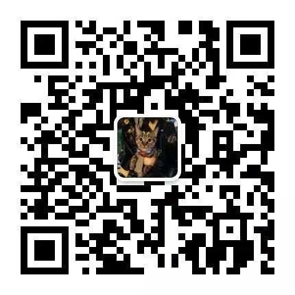 客厅时尚挂画图片_2021年客厅挂钟最新款图片_客厅时尚个性挂钟图片