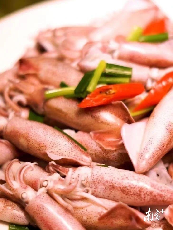 南澳岛旅游项目_南澳岛旅游攻略费用_2024南澳岛旅游攻略