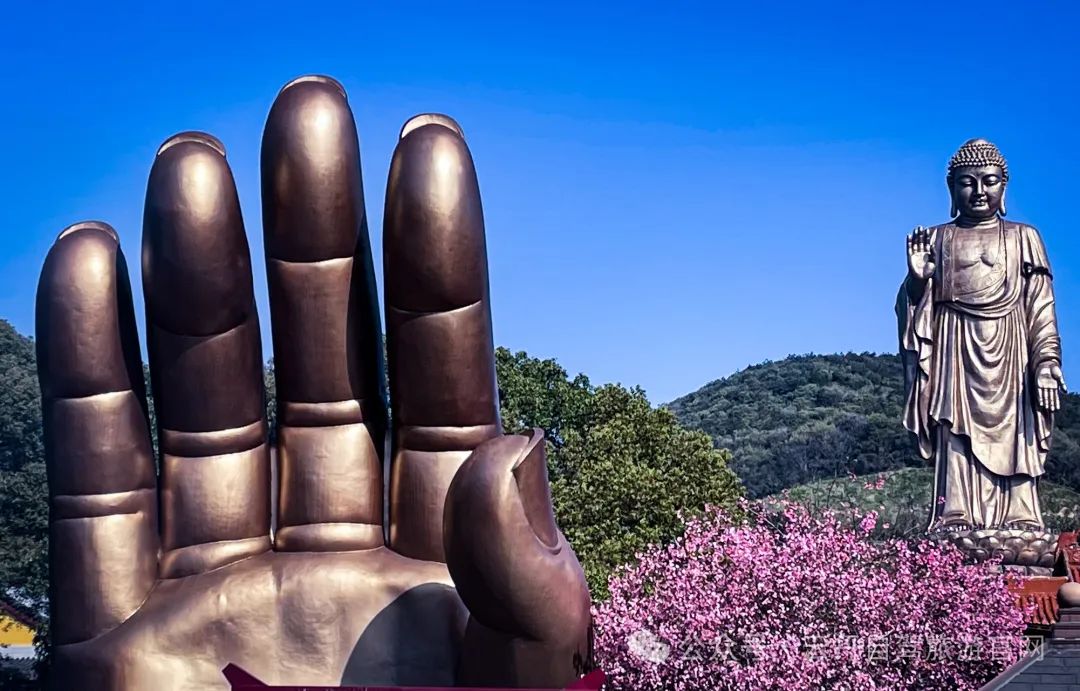 横店旅游路线_横店旅游攻略2024_横店旅游攻略及费用