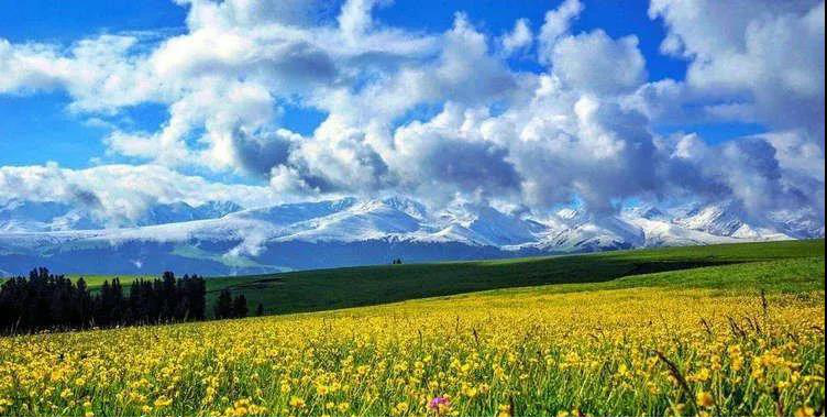 保定攻略狼牙旅游山庄在哪_保定狼牙山旅游攻略_保定狼牙山一日游攻略