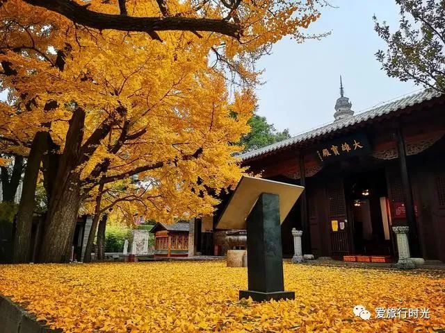 西塘一日游旅游攻略-西塘1日游