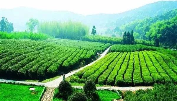 无锡马山旅游攻略-无锡马山景点介绍(图10) 无锡马山旅游攻略_无锡马山景点介绍_无锡马山游玩攻略