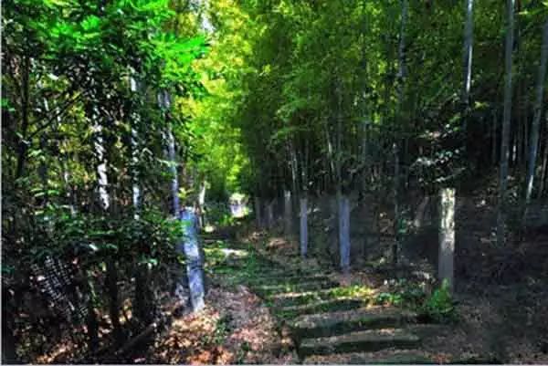 无锡马山旅游攻略-无锡马山景点介绍(图12) 无锡马山旅游攻略_无锡马山游玩攻略_无锡马山景点介绍