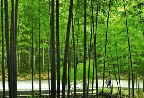 无锡马山旅游攻略-无锡马山景点介绍(图14) 无锡马山游玩攻略_无锡马山旅游攻略_无锡马山景点介绍