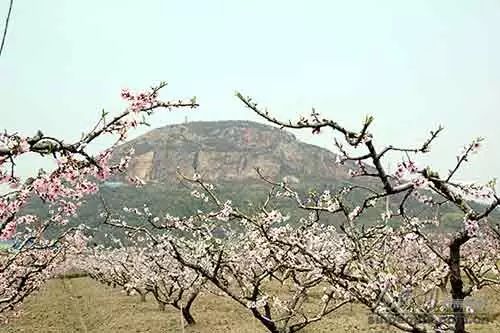 无锡马山旅游攻略-无锡马山景点介绍(图15) 无锡马山游玩攻略_无锡马山旅游攻略_无锡马山景点介绍