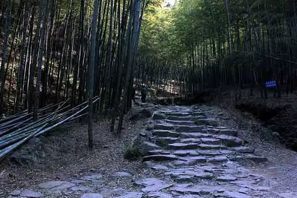无锡马山旅游攻略-无锡马山景点介绍(图20) 无锡马山旅游攻略_无锡马山景点介绍_无锡马山游玩攻略