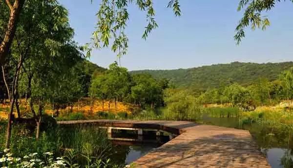 无锡马山旅游攻略-无锡马山景点介绍(图21) 无锡马山游玩攻略_无锡马山景点介绍_无锡马山旅游攻略