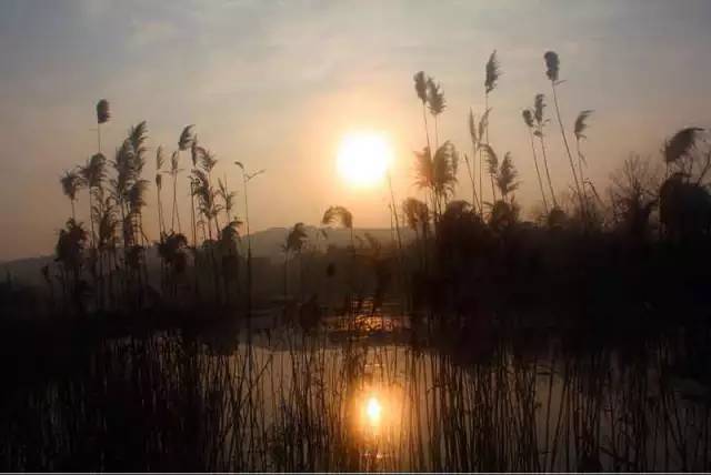 无锡马山旅游攻略-无锡马山景点介绍(图22) 无锡马山游玩攻略_无锡马山旅游攻略_无锡马山景点介绍