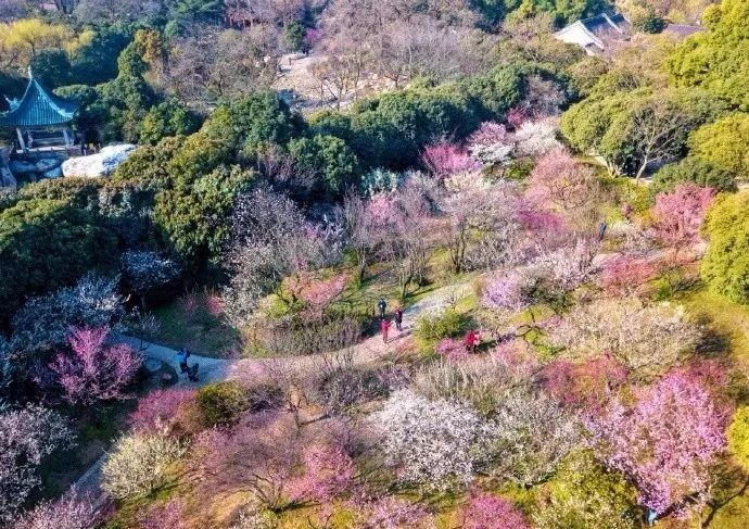 无锡马山旅游攻略-无锡马山景点介绍(图29) 无锡马山游玩攻略_无锡马山景点介绍_无锡马山旅游攻略