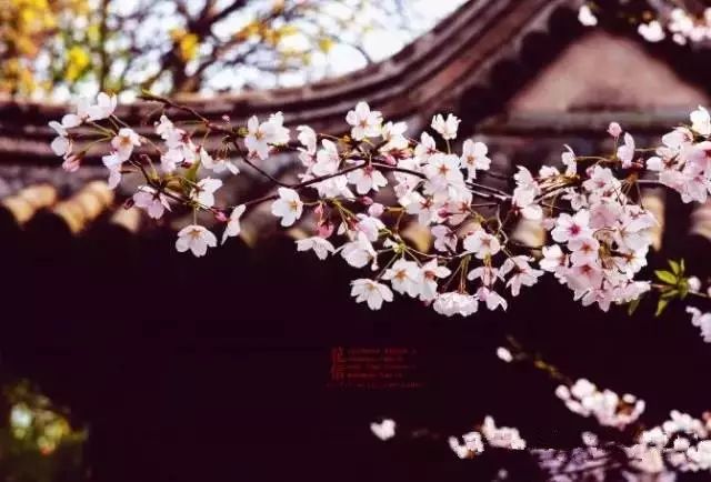 无锡马山旅游攻略-无锡马山景点介绍(图30) 无锡马山景点介绍_无锡马山游玩攻略_无锡马山旅游攻略