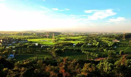 无锡马山旅游攻略-无锡马山景点介绍(图34) 无锡马山游玩攻略_无锡马山景点介绍_无锡马山旅游攻略