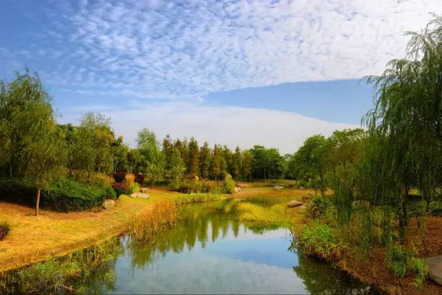 无锡马山旅游攻略-无锡马山景点介绍(图7) 无锡马山游玩攻略_无锡马山景点介绍_无锡马山旅游攻略