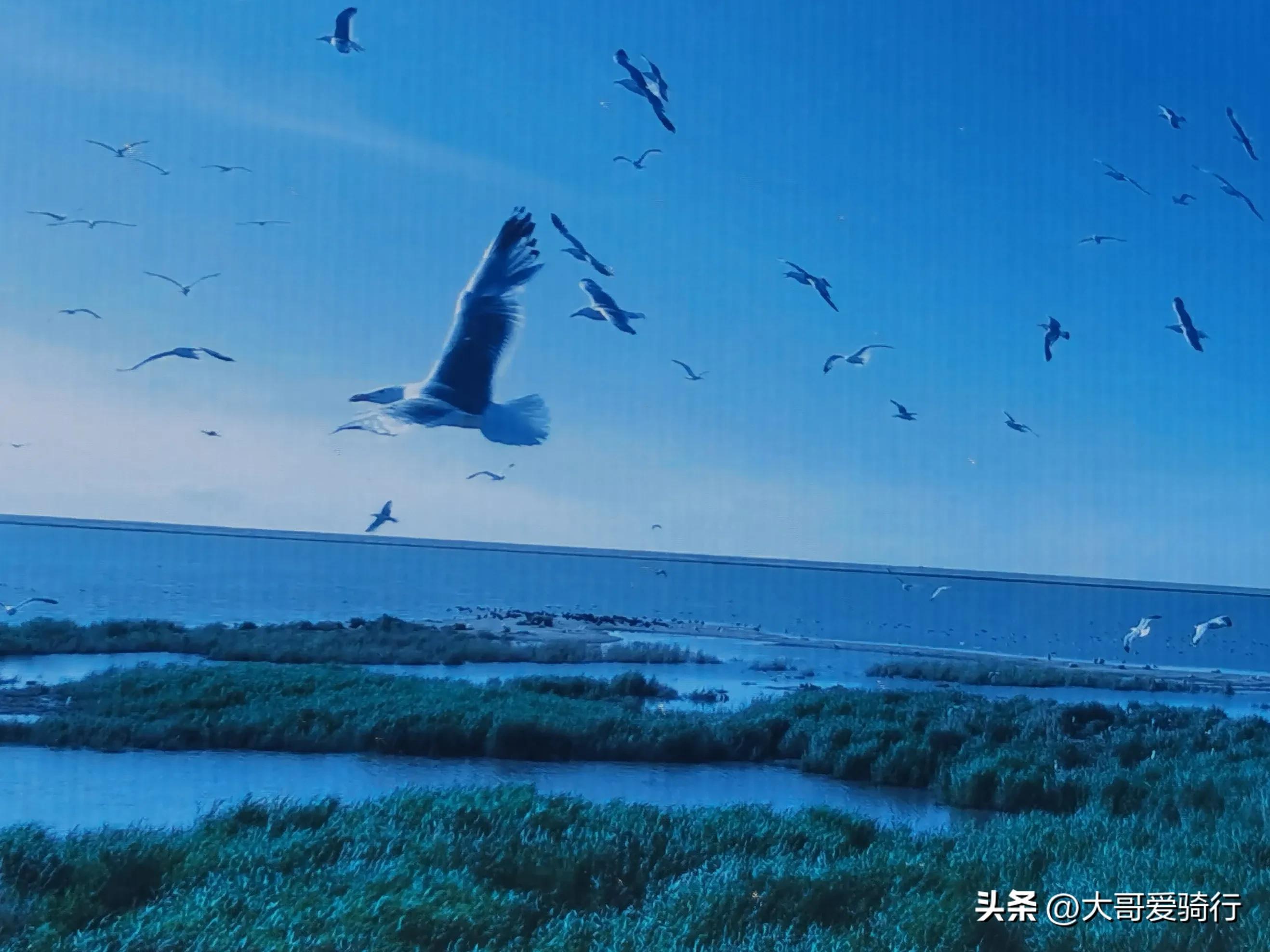 东北三省旅游攻略_东北三省的旅游攻略_东北三省的旅游路线策划