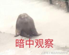 乐峰赤壁景区旅游攻略_乐峰赤壁温泉度假村_赤壁有没有游乐园