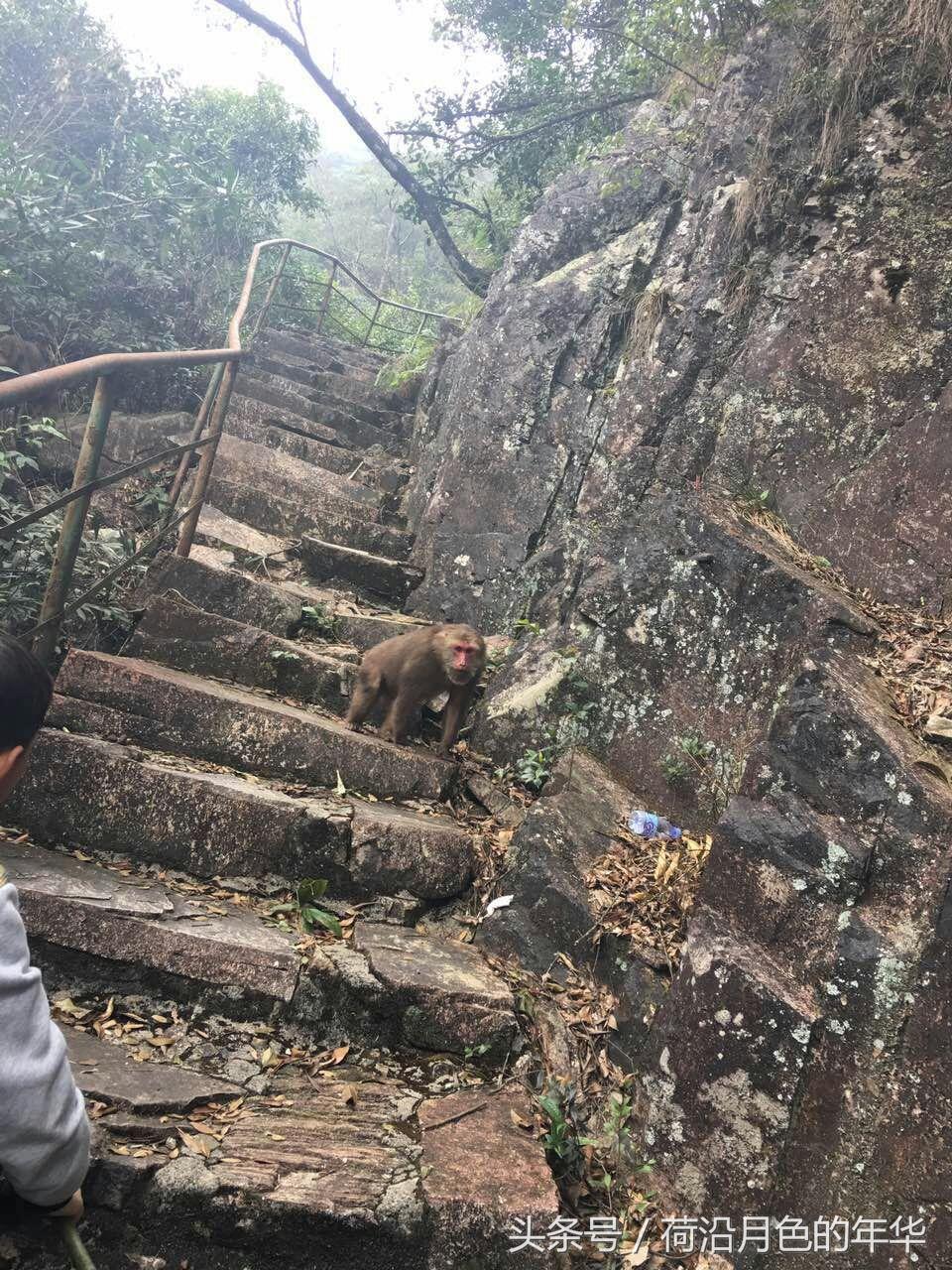 乐峰赤壁景区旅游攻略_赤壁有没有游乐园_乐峰赤壁温泉度假村