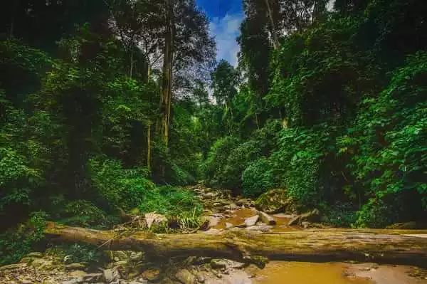 腾冲大理哪个好玩_大理腾冲自驾游怎么安排路线_昆明大理腾冲旅游攻略