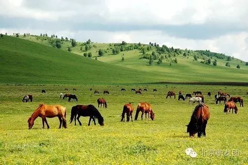 止锚湾旅游景点_辽宁止锚湾旅游攻略_止锚湾度假村