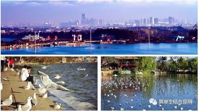 昆明大理腾冲旅游攻略_大理腾冲自驾游怎么安排路线_腾冲大理哪个好玩