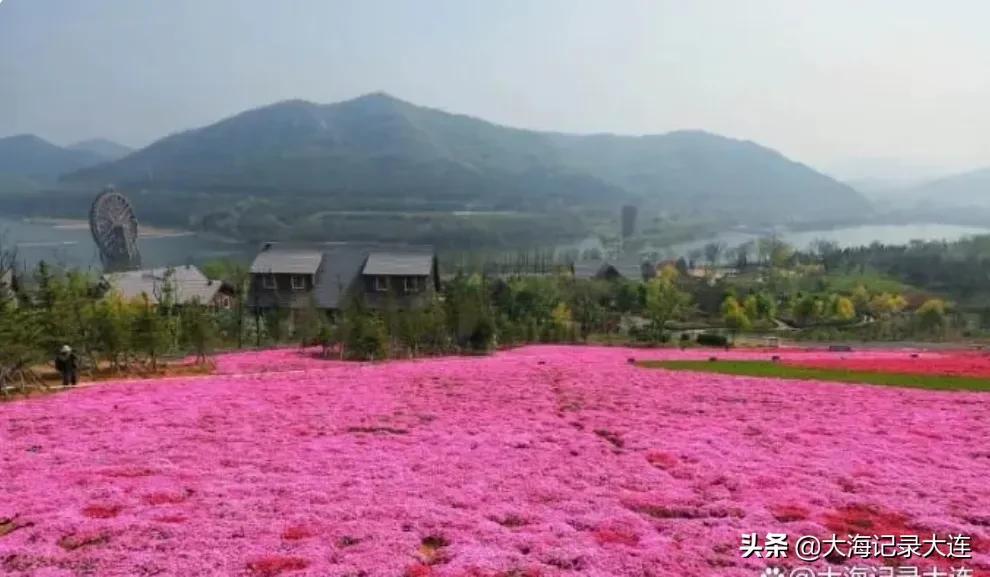 春季大连攻略旅游路线_大连春季旅游景点大全排名_大连春季旅游攻略
